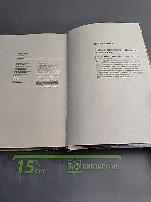 Камни, которые надо спасти