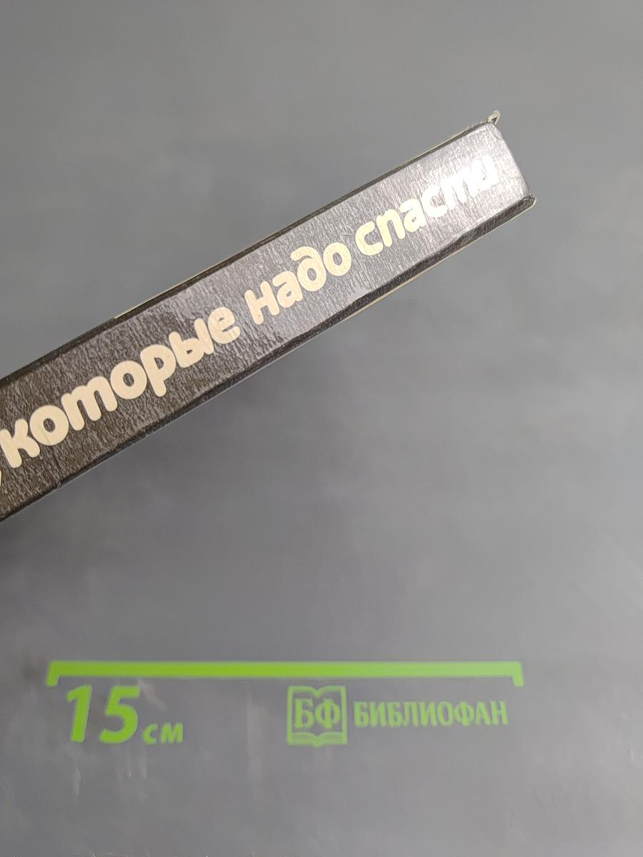 Камни, которые надо спасти