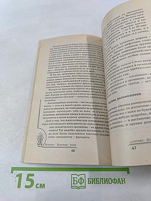 Лечение золотым усом