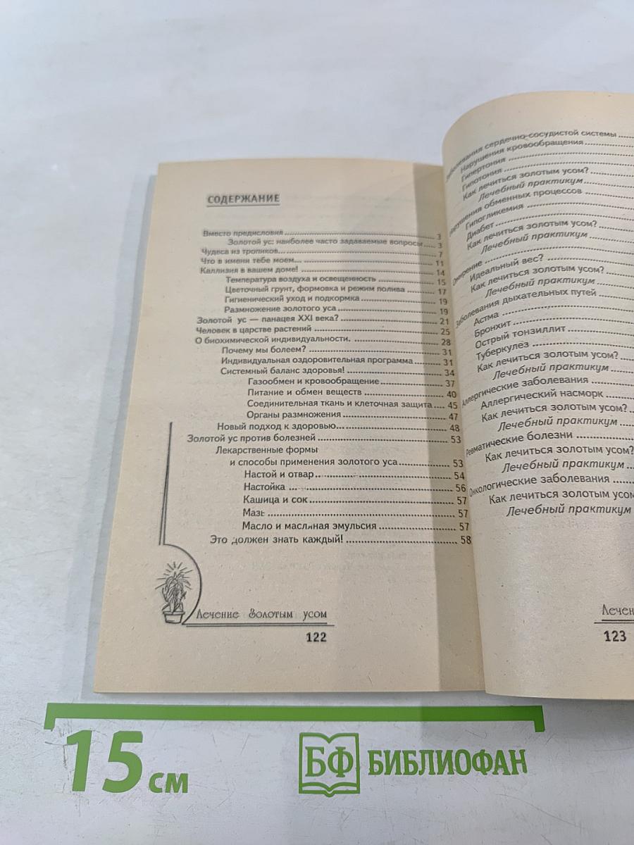 Лечение золотым усом