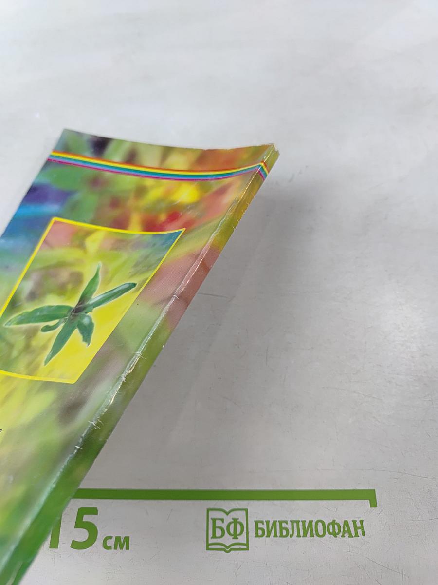 Лечение золотым усом