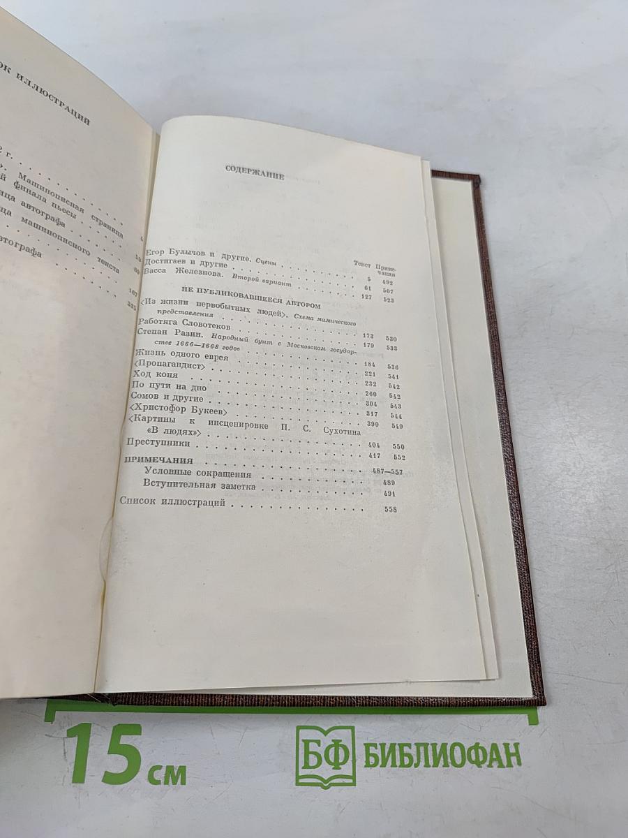Художественные произведения: Пьесы, сценарии, драматические наброски 1917-1935. Том девятнадцатый