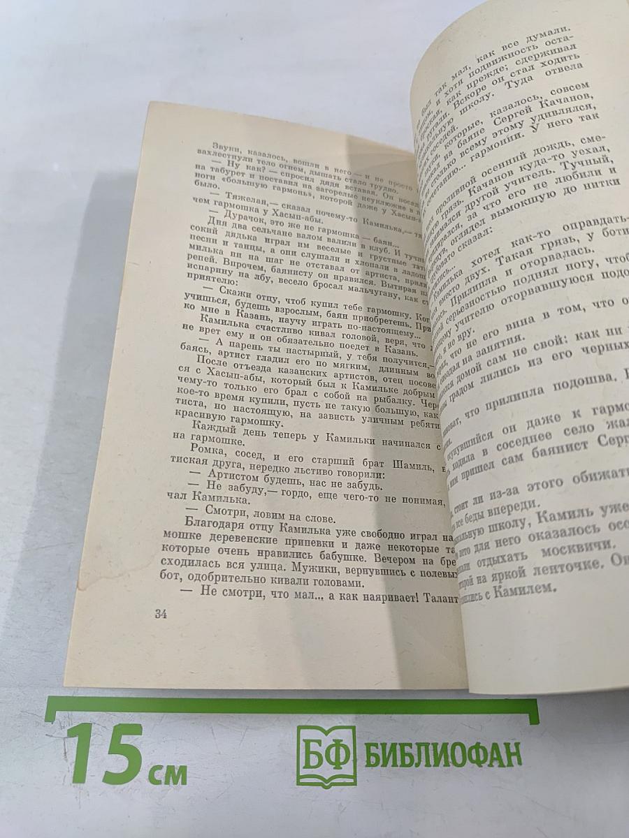 Пограничная вахта