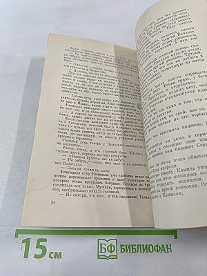 Пограничная вахта