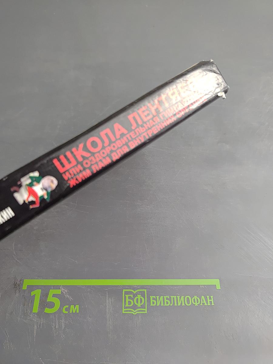 Школа лентяев, или Оздоровительная гимнастика Жим Лам для внутренних органов