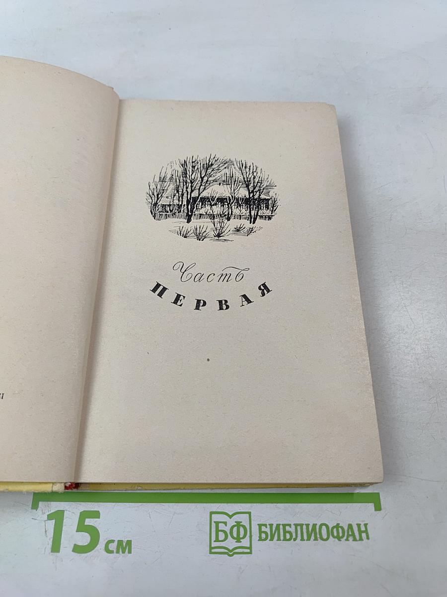 Повесть о Пушкине. Для средней школы. Часть первая