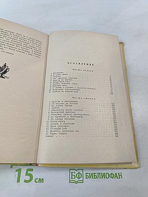 Повесть о Пушкине. Для средней школы. Часть первая
