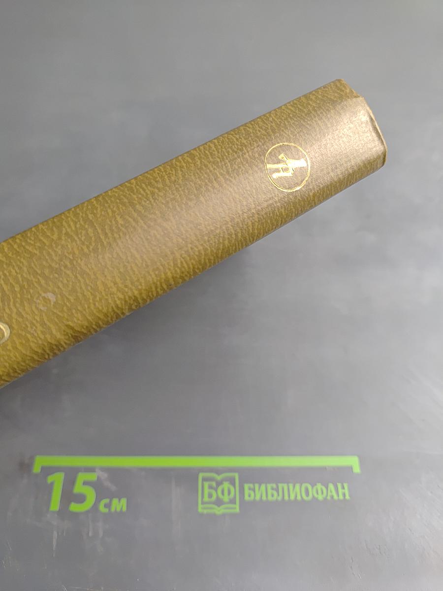 Звездные ночи