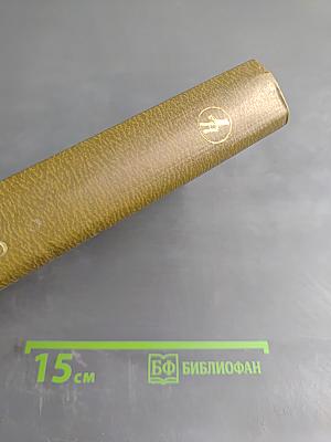 Звездные ночи