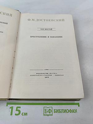 Преступление и наказание (Собрание сочинений. Том 6)