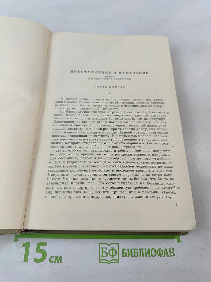 Преступление и наказание (Собрание сочинений. Том 6)