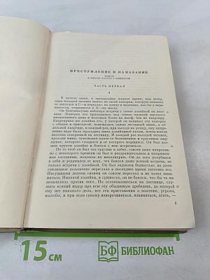Преступление и наказание (Собрание сочинений. Том 6)