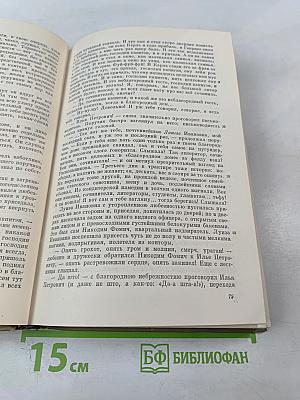 Преступление и наказание (Собрание сочинений. Том 6)