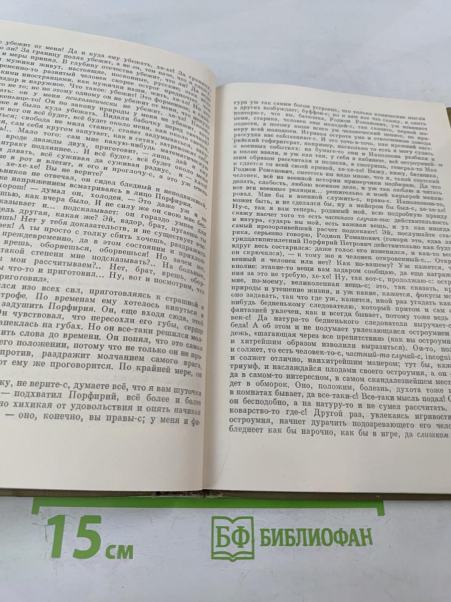 Преступление и наказание (Собрание сочинений. Том 6)