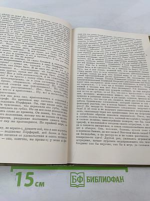 Преступление и наказание (Собрание сочинений. Том 6)