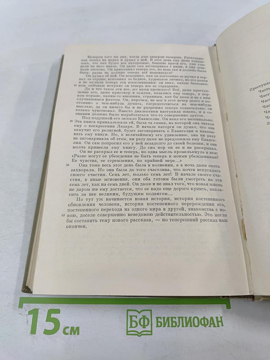 Преступление и наказание (Собрание сочинений. Том 6)