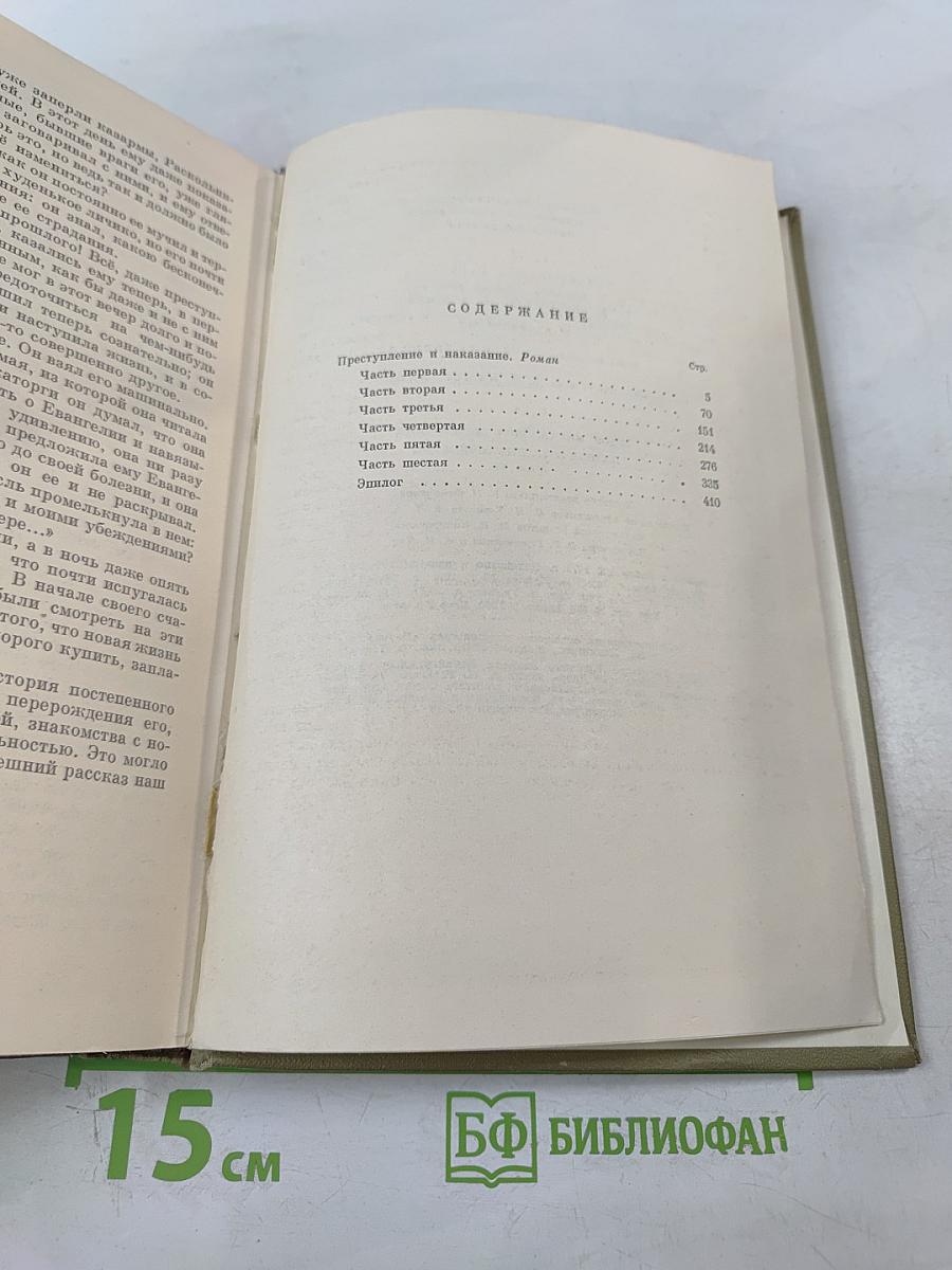 Преступление и наказание (Собрание сочинений. Том 6)