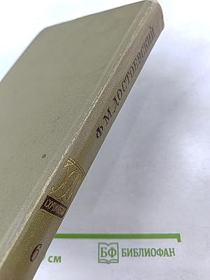 Преступление и наказание (Собрание сочинений. Том 6)