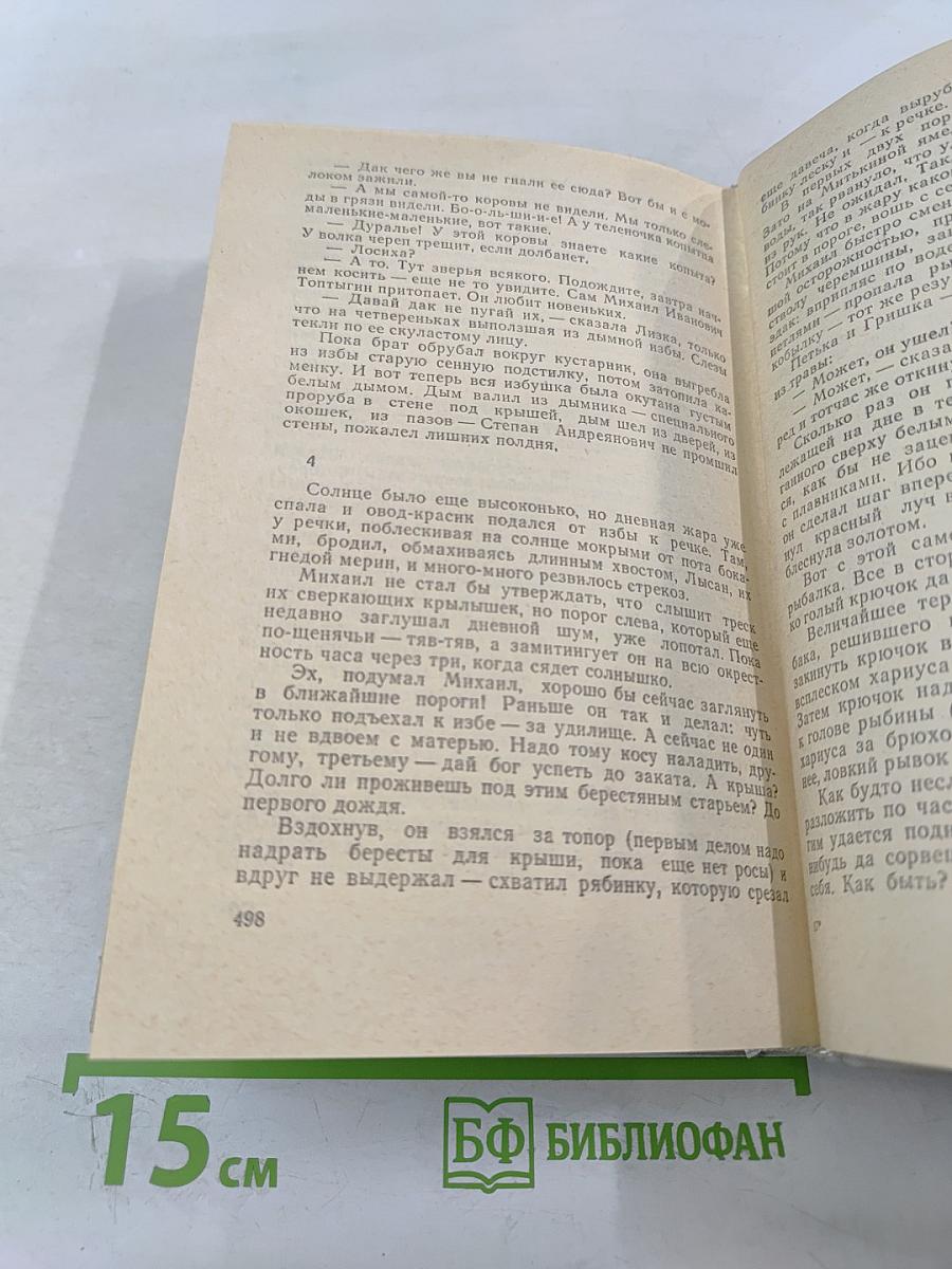 Братья и сестры