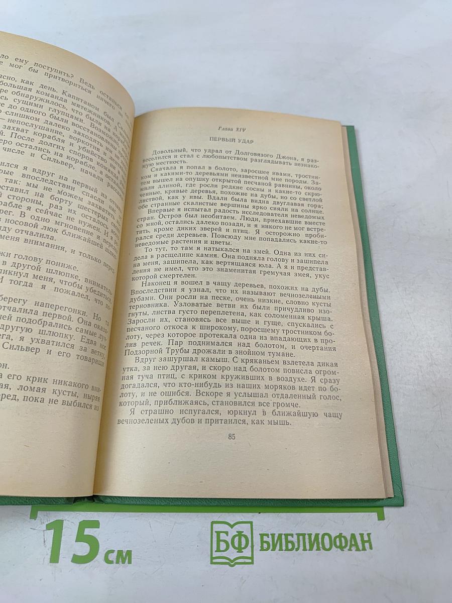 Остров сокровищ