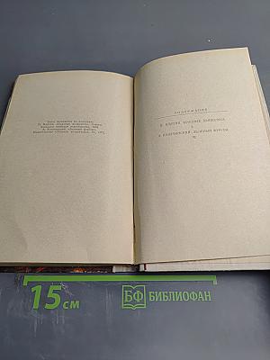 Красные дьяволята. Зеленый фургон