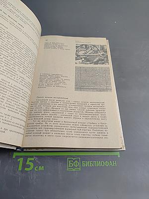 Будущее — океан