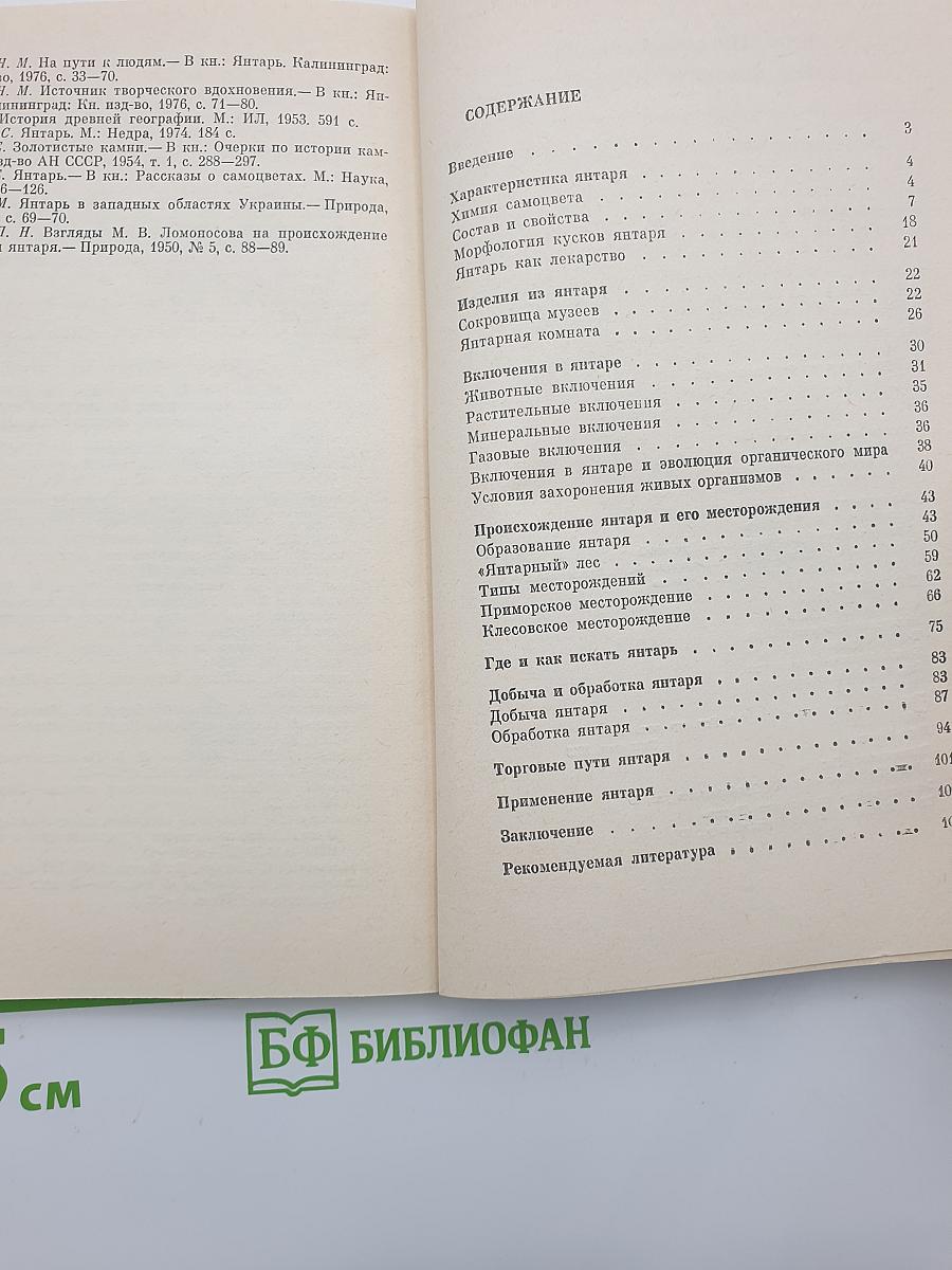 Янтарь