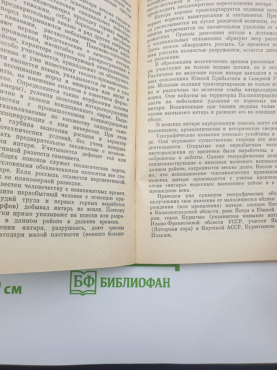 Янтарь