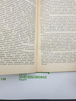 Янтарь