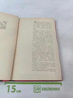 Тигровый камень