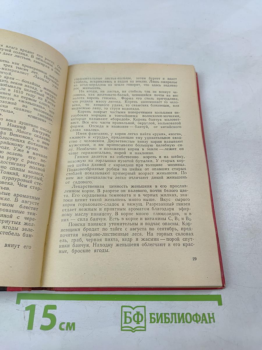 Тигровый камень