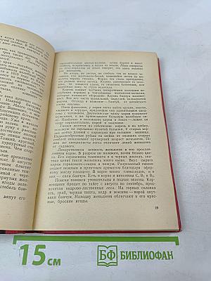 Тигровый камень