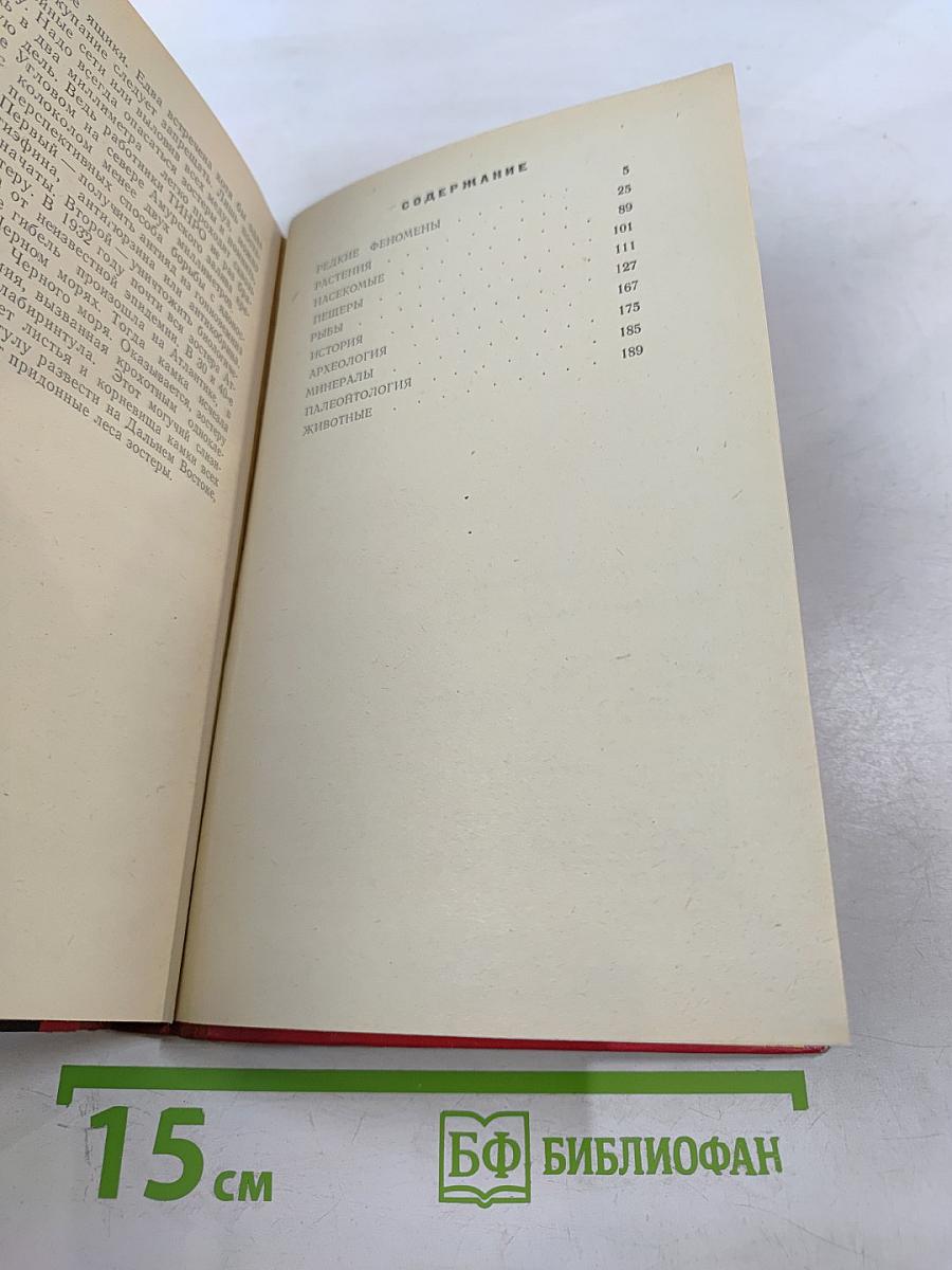 Тигровый камень