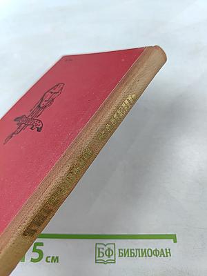 Тигровый камень