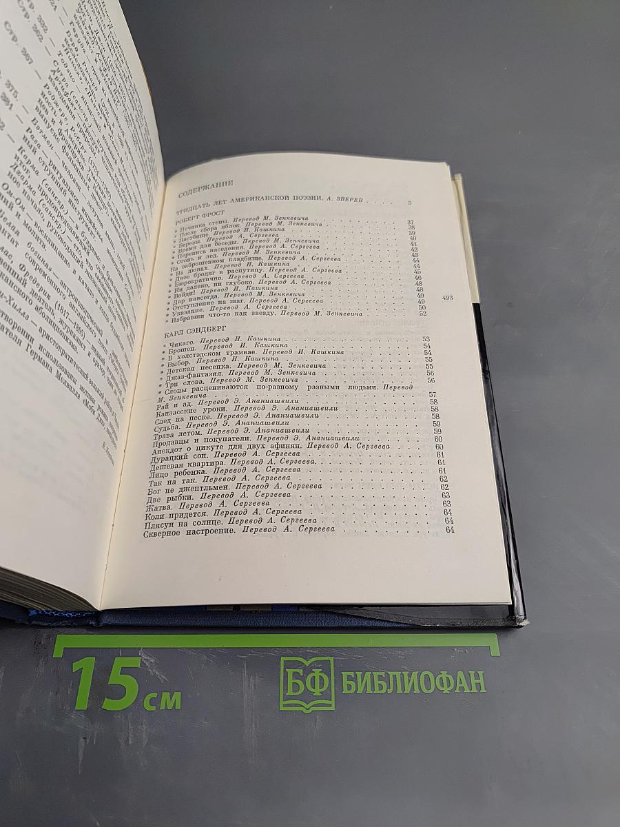 Современная американская поэзия