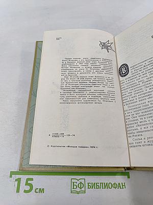 Амазонка глазами москвича