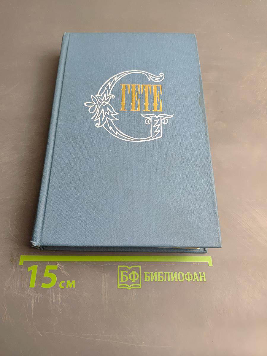 Собрание сочинений. Том 6. Романы и повести