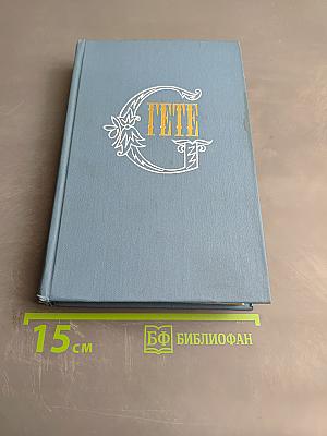 Собрание сочинений. Том 6. Романы и повести