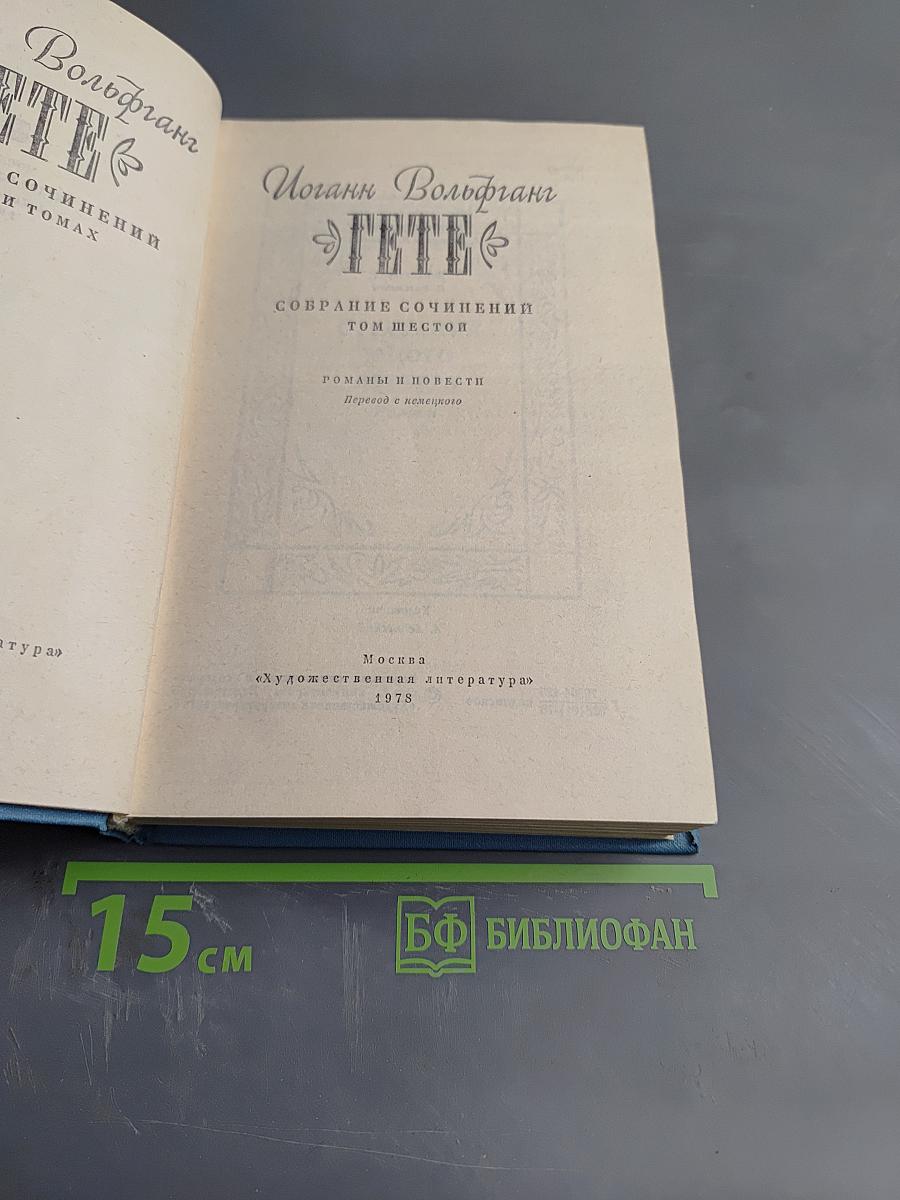 Собрание сочинений. Том 6. Романы и повести