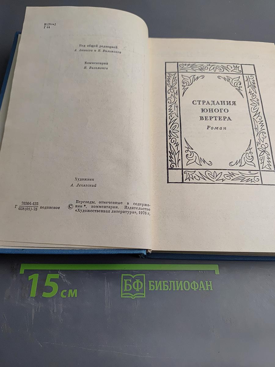 Собрание сочинений. Том 6. Романы и повести