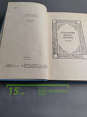 Собрание сочинений. Том 6. Романы и повести