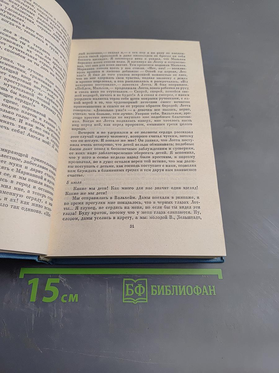 Собрание сочинений. Том 6. Романы и повести