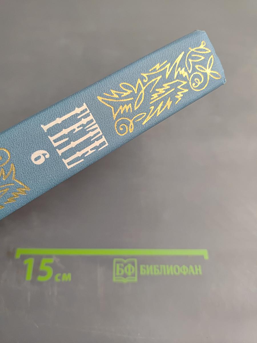 Собрание сочинений. Том 6. Романы и повести