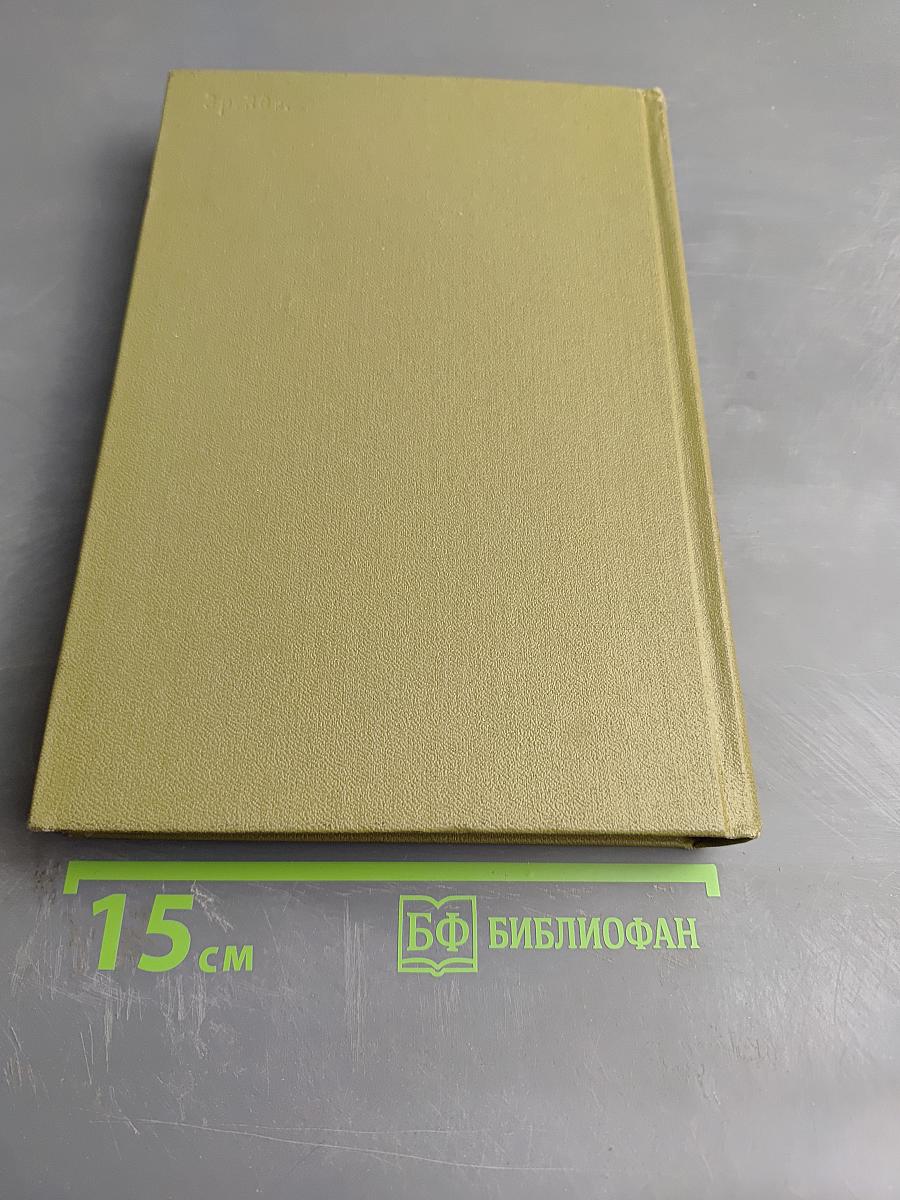 Письма 1875-1877. Полное собрание сочинений Ф.М. Достоевского в тридцати томах. Том 29, Книга вторая