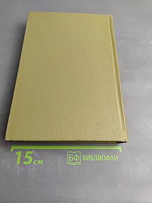 Письма 1875-1877. Полное собрание сочинений Ф.М. Достоевского в тридцати томах. Том 29, Книга вторая