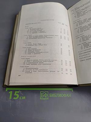 Полное собрание сочинений. Том двадцать третий. Дневник писателя за 1876 год Май-Октябрь
