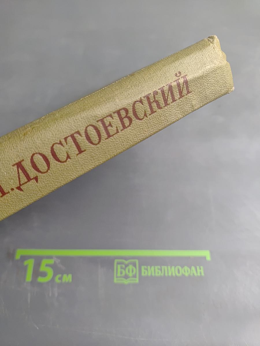 Полное собрание сочинений. Том двадцать третий. Дневник писателя за 1876 год Май-Октябрь
