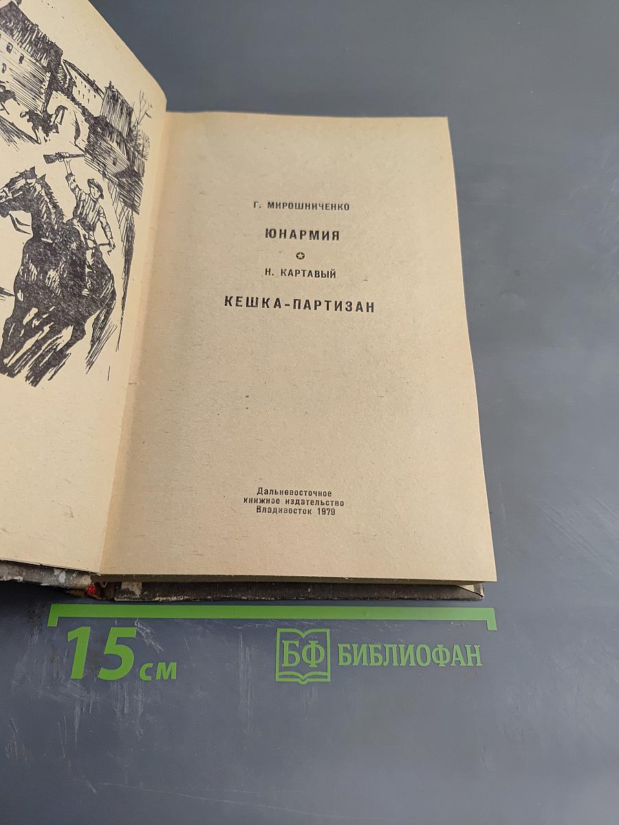 Юнармия. Кешка - партизан