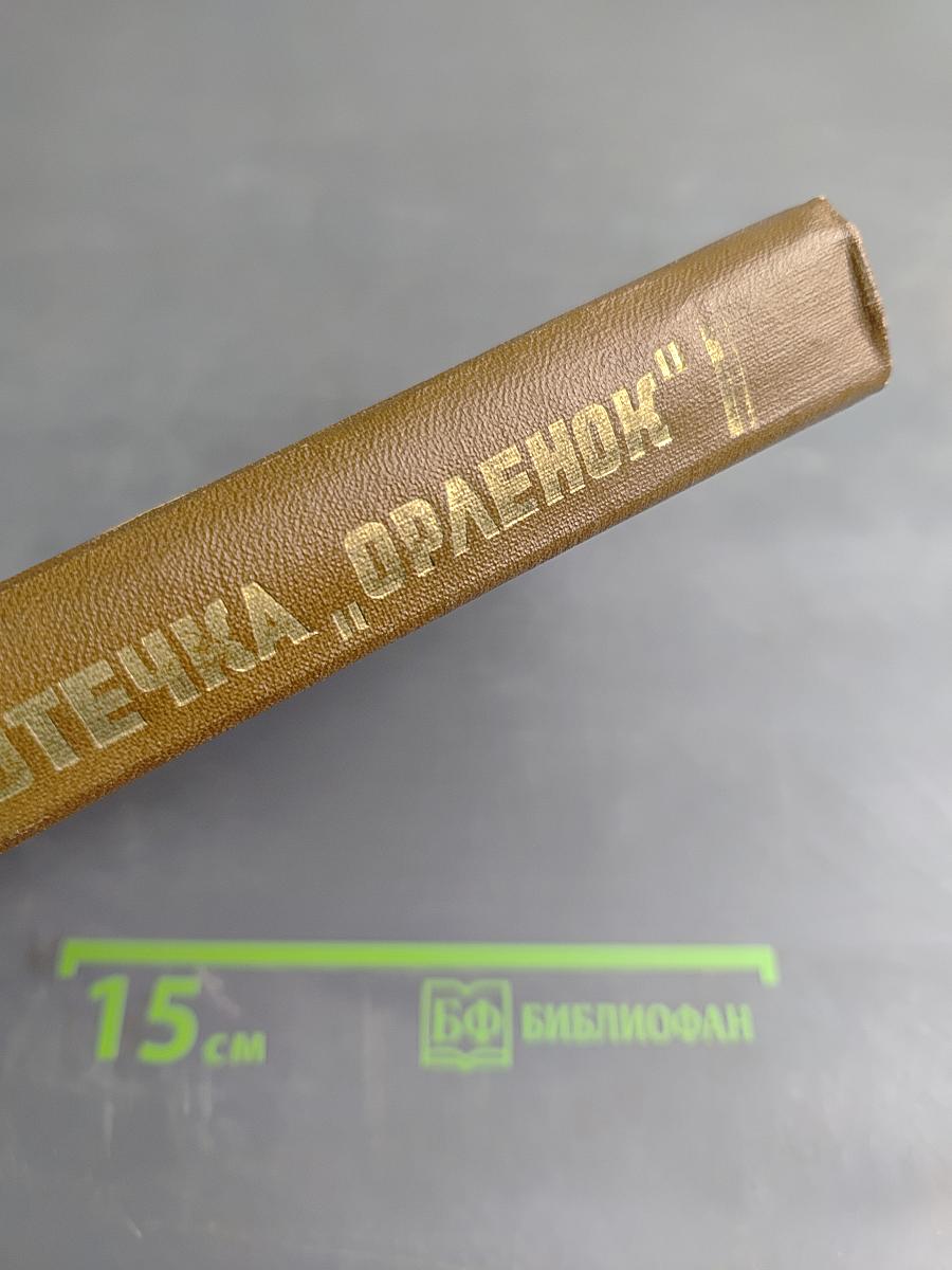 Юнармия. Кешка - партизан