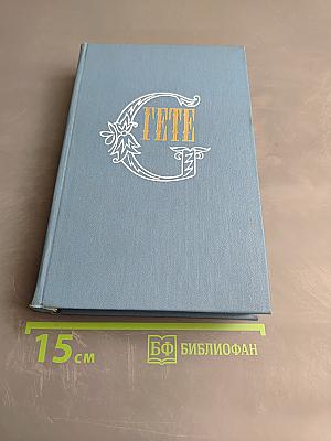 Годы учения Вильгельма Мейстера. Том 7